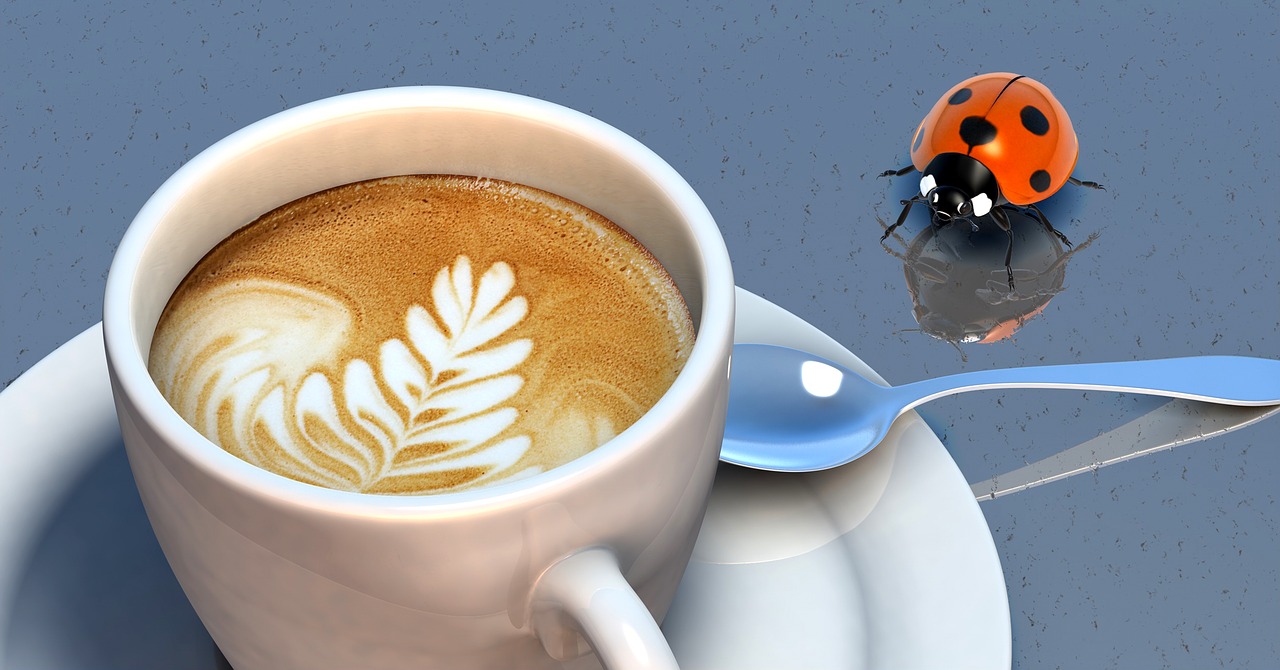beetle coffee cup free photo