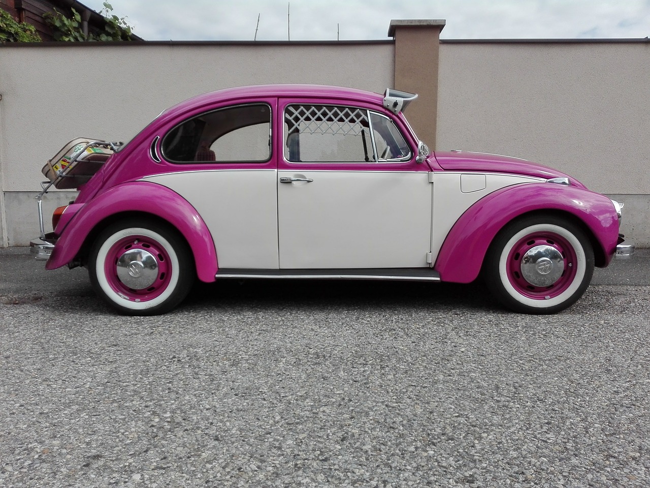 beetle pop pink free photo