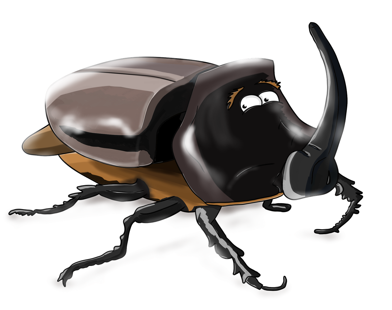 beetle rhino insect free photo