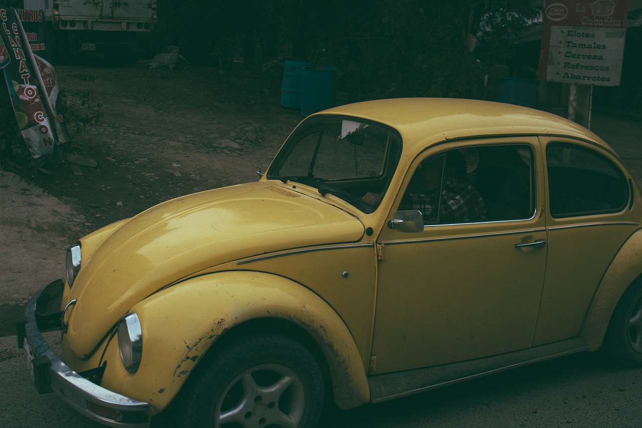 beetle vw volkswagen free photo