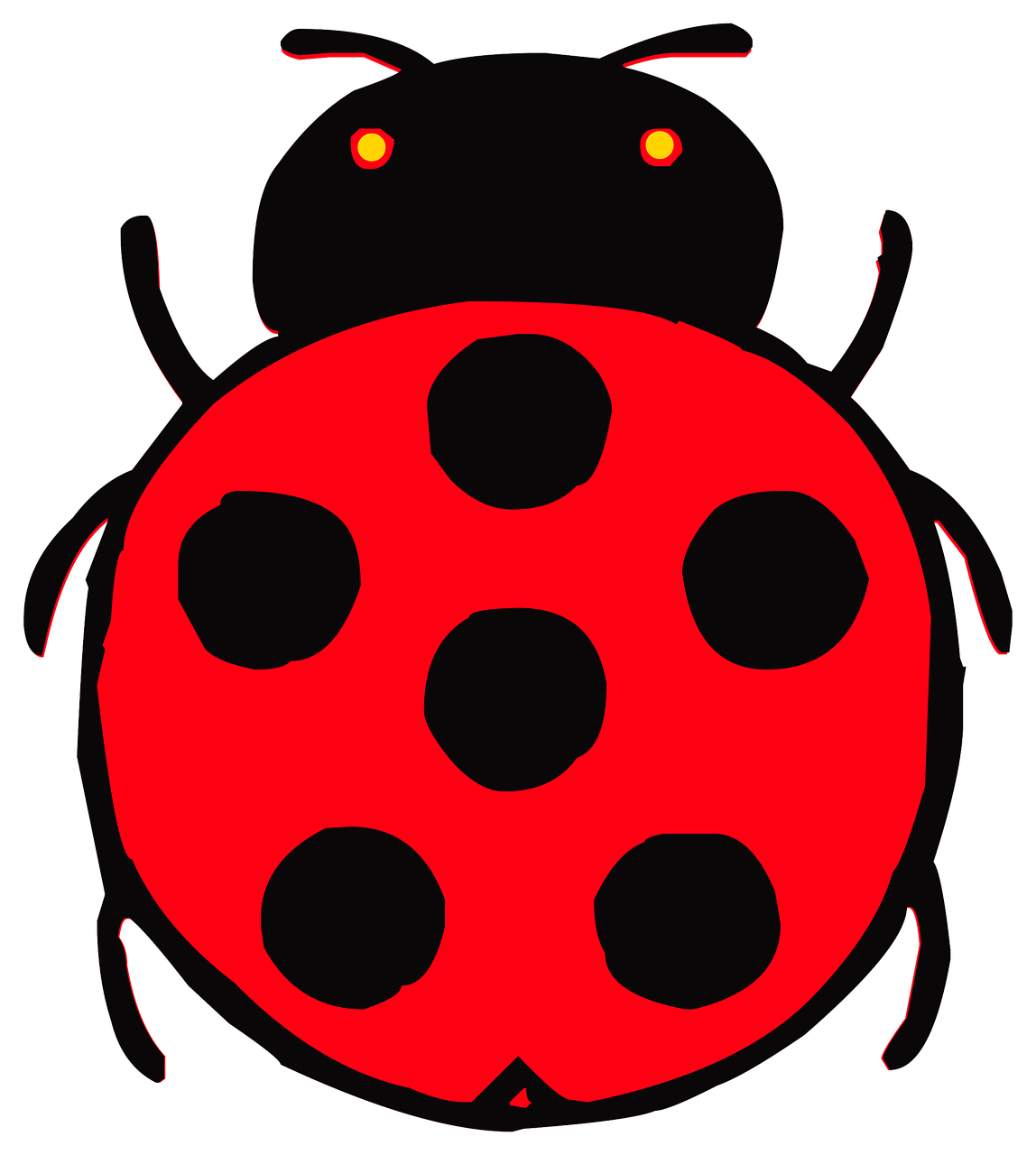 beetle ladybug red free photo