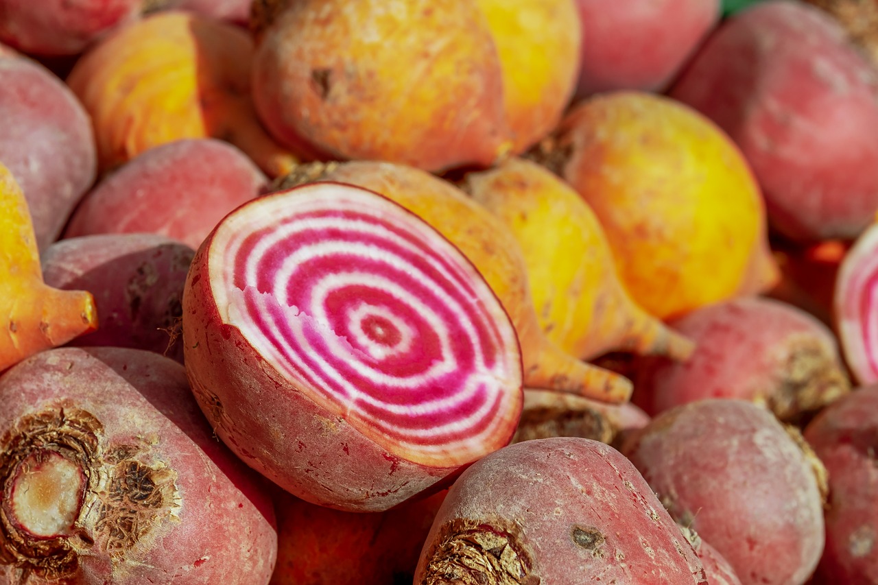 beetroot  beets  colorful free photo