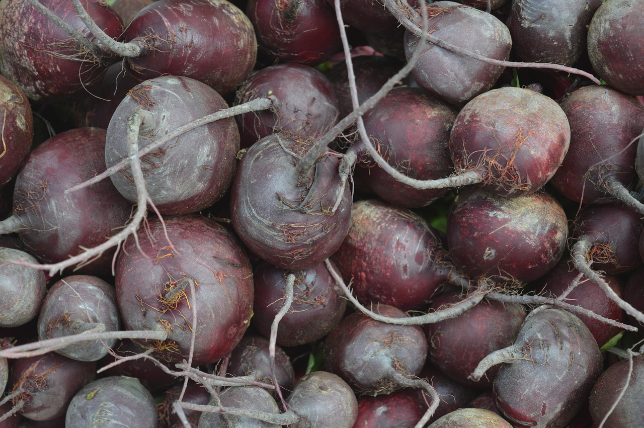 beets vegetable raw free photo