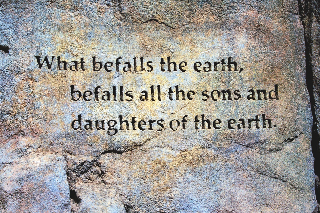 befall the earth quote rock wall earth quote free photo