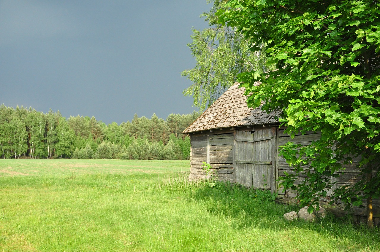 before the storm dark clouds green free photo