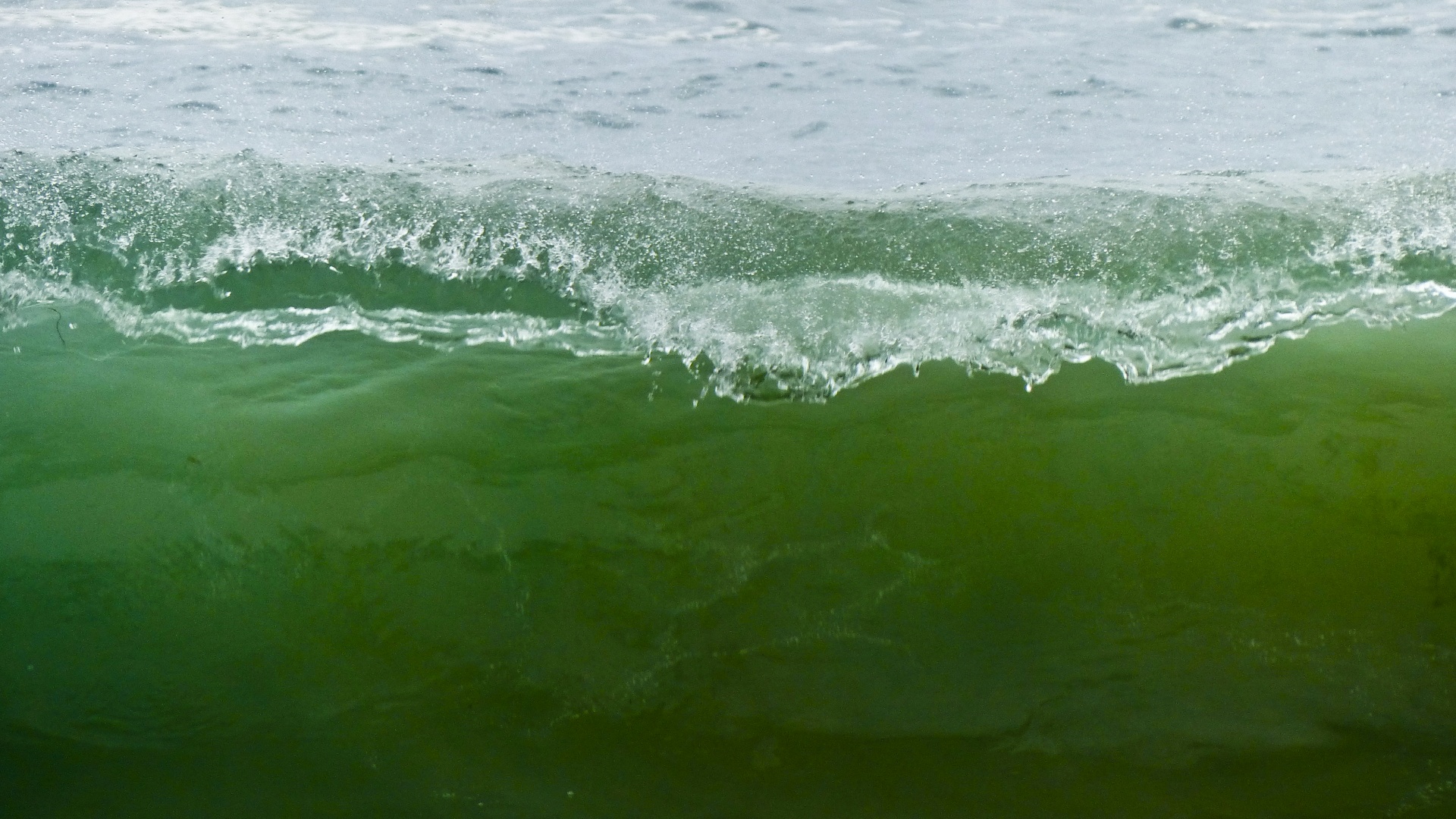 wave curl green free photo