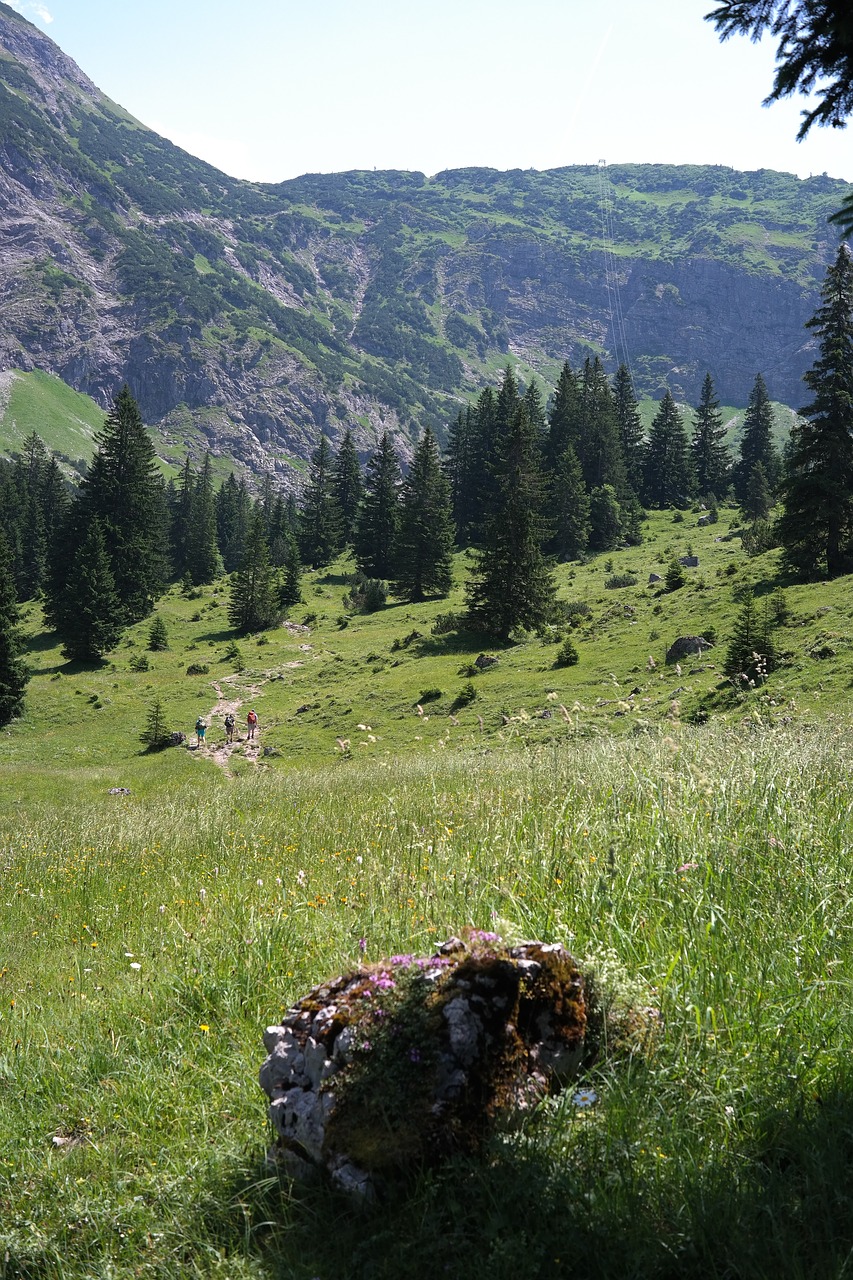 behind steiner tal hike mountains free photo