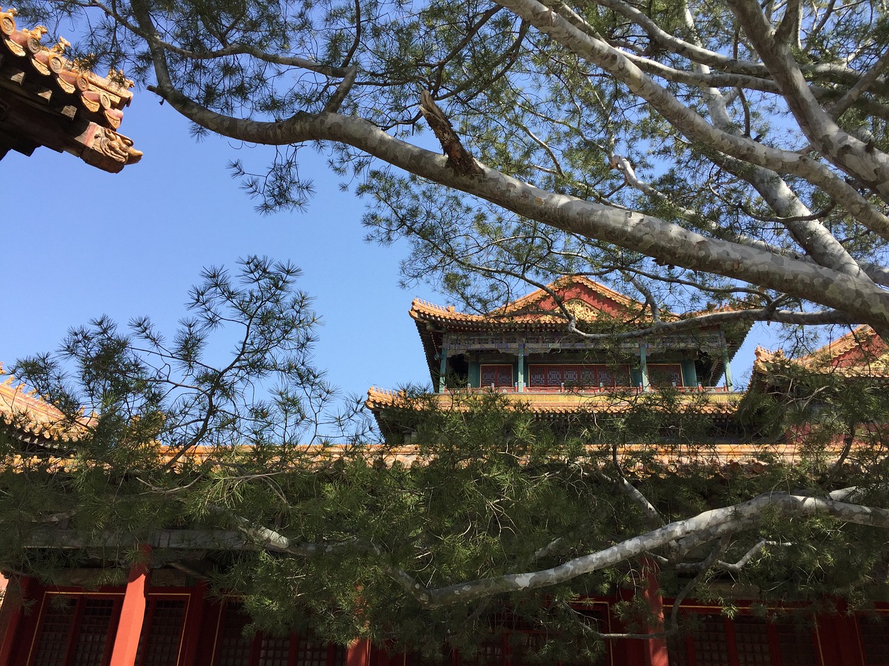 beijing the national palace museum chinese architecture free photo