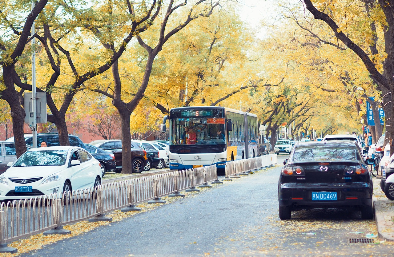 beijing greenway autumn free photo