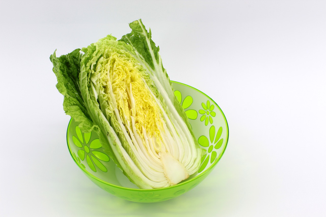 beijing cabbage  chinese cabbage  food free photo