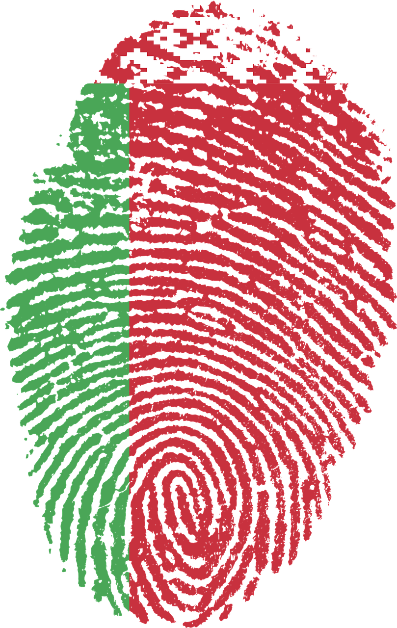 belarus flag fingerprint free photo