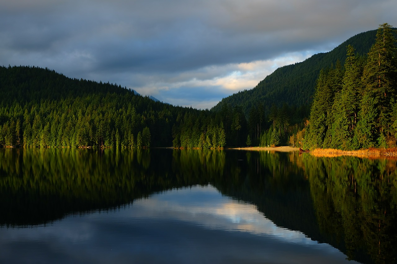 belcarra lake canada free photo