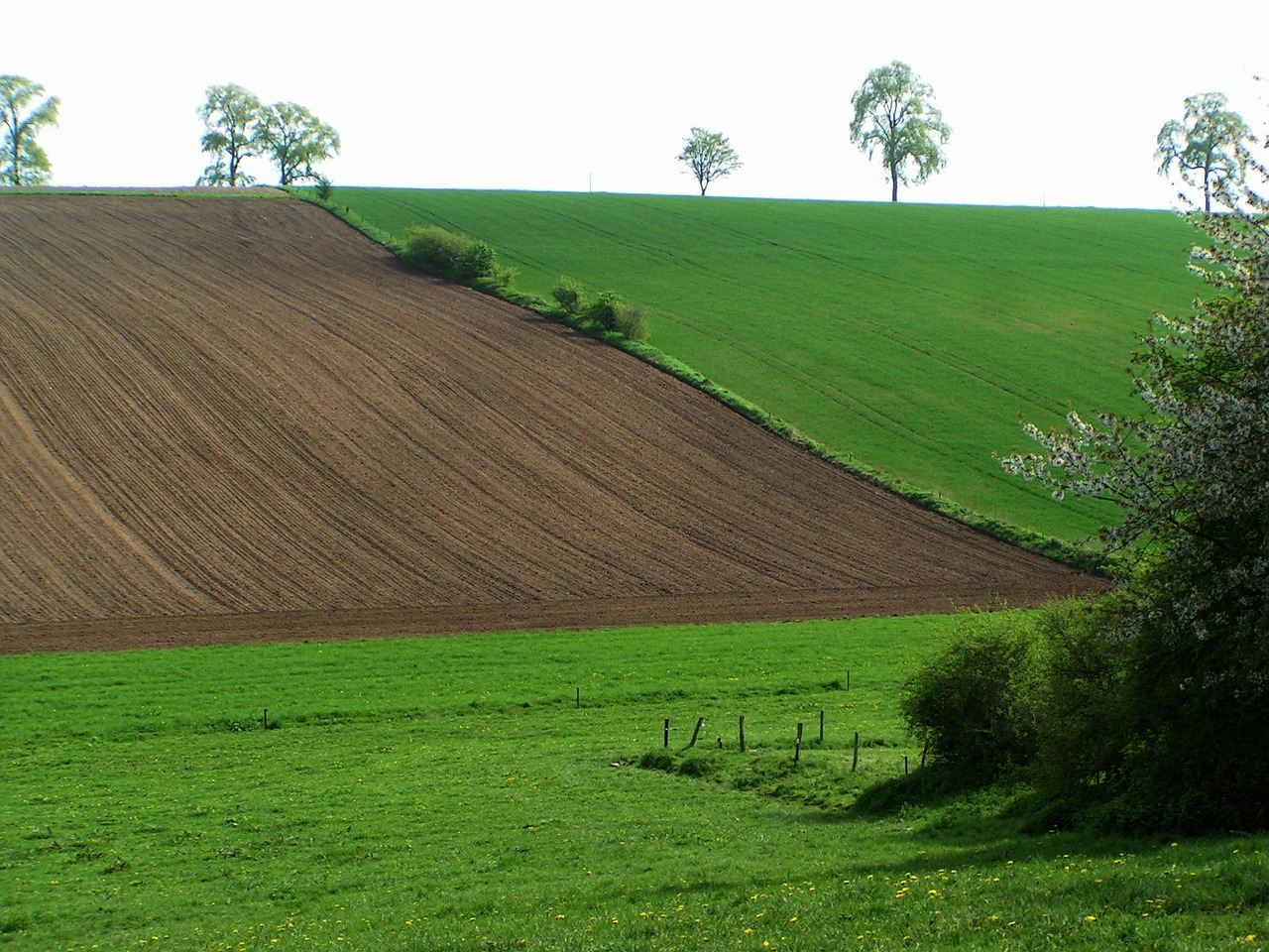 belgium landscape field free photo