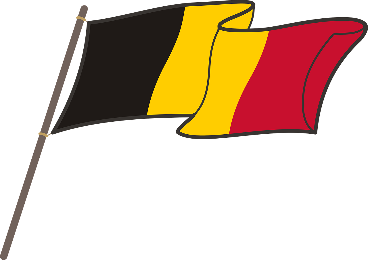 belgium flag graphics free photo
