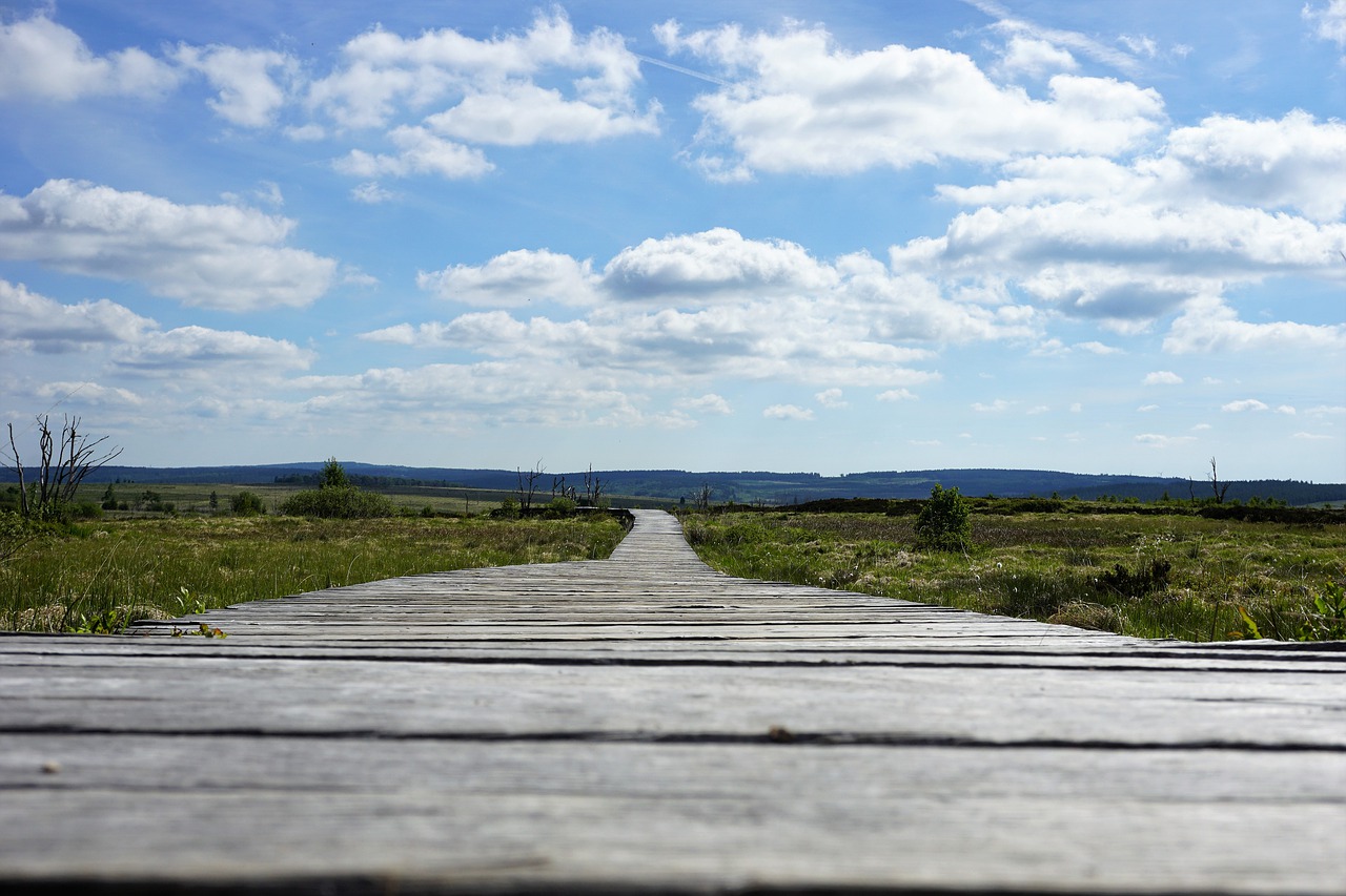 belgium  places of interest  nature reserve free photo