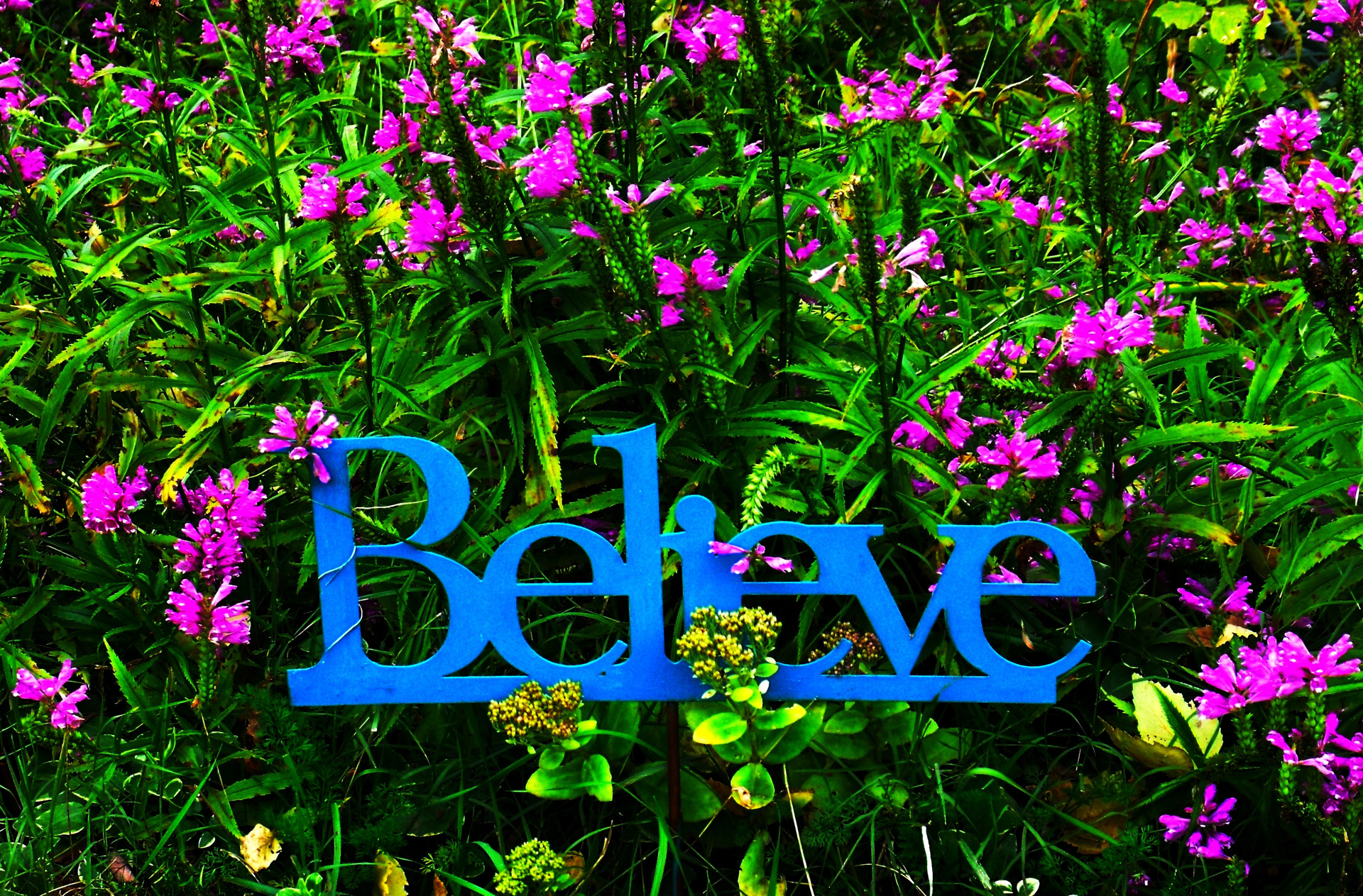 sign garden believe free photo