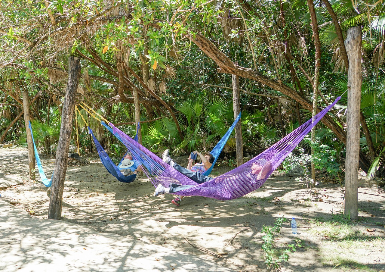 belize bacab jungle park hammocks free photo