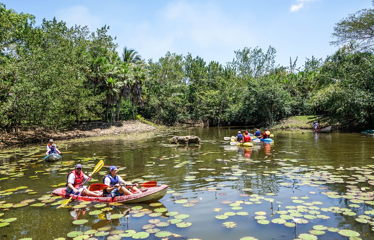 belize bacab jungle park kayaks free photo