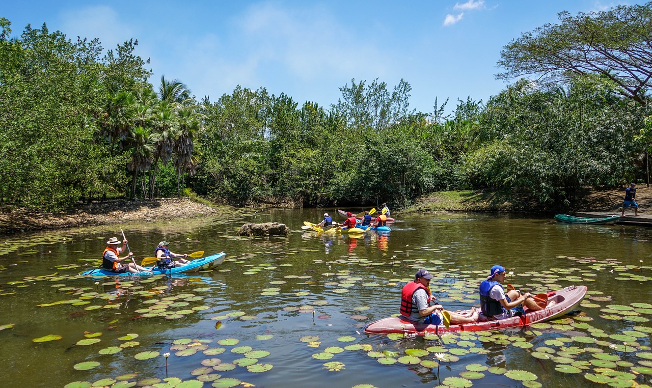 belize bacab jungle park kayaks free photo