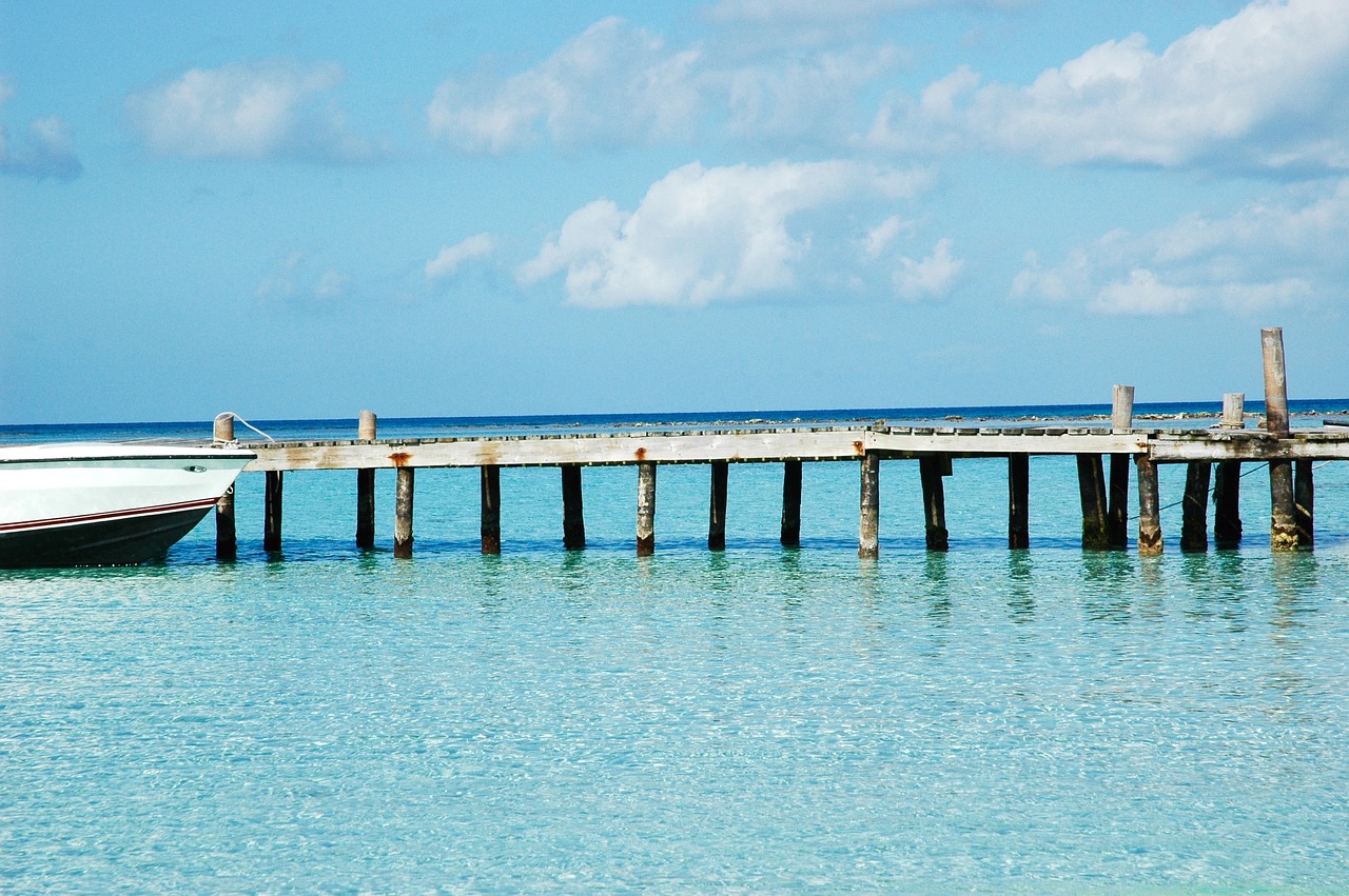 belize sea bridge free photo