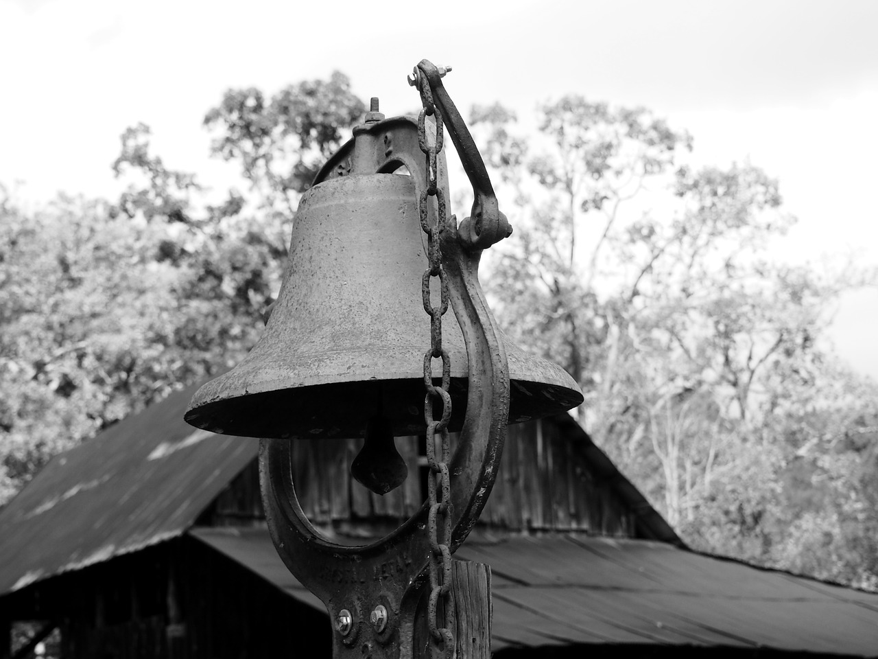 bell rustic nature free photo