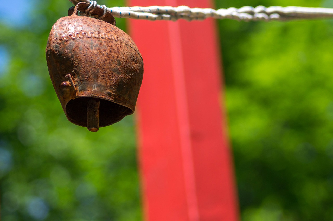 bell red nature free photo