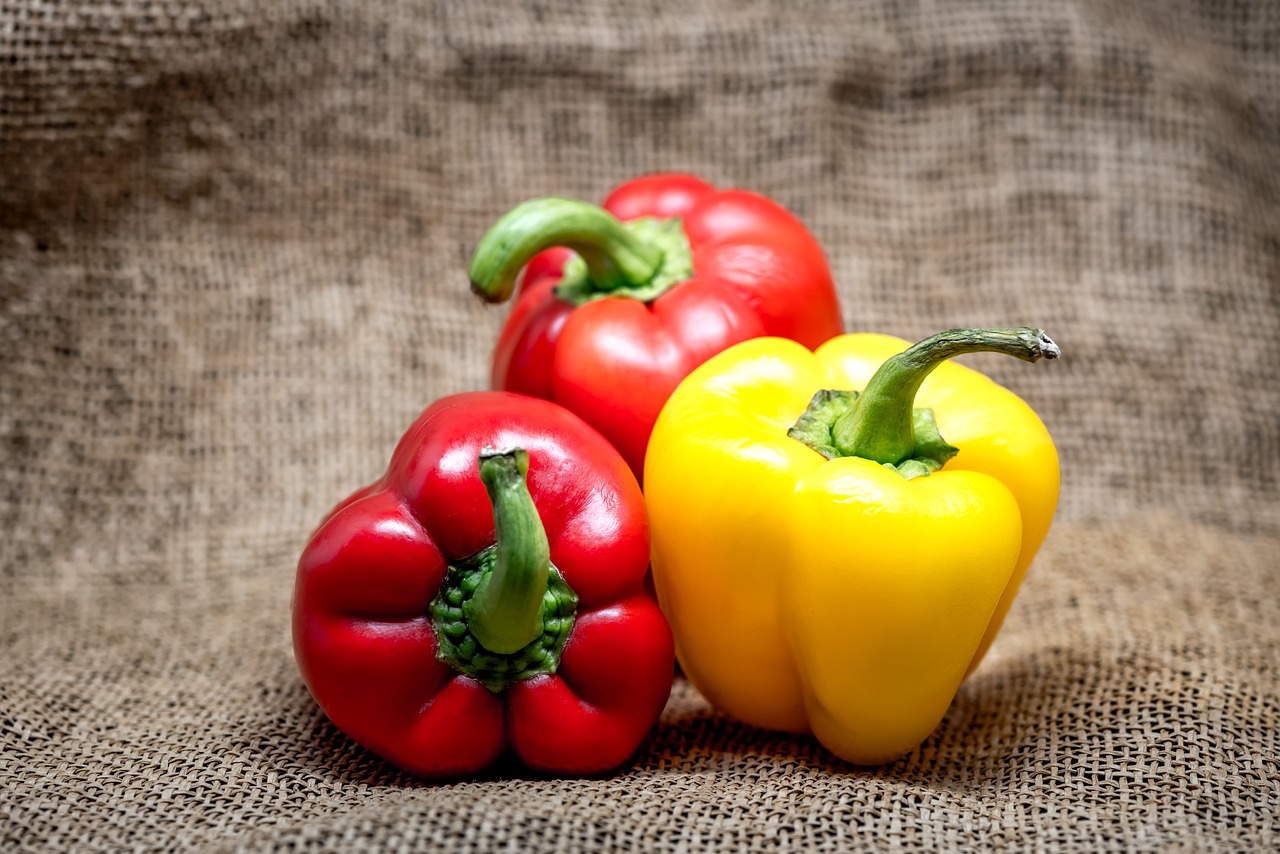 bell pepper red free photo