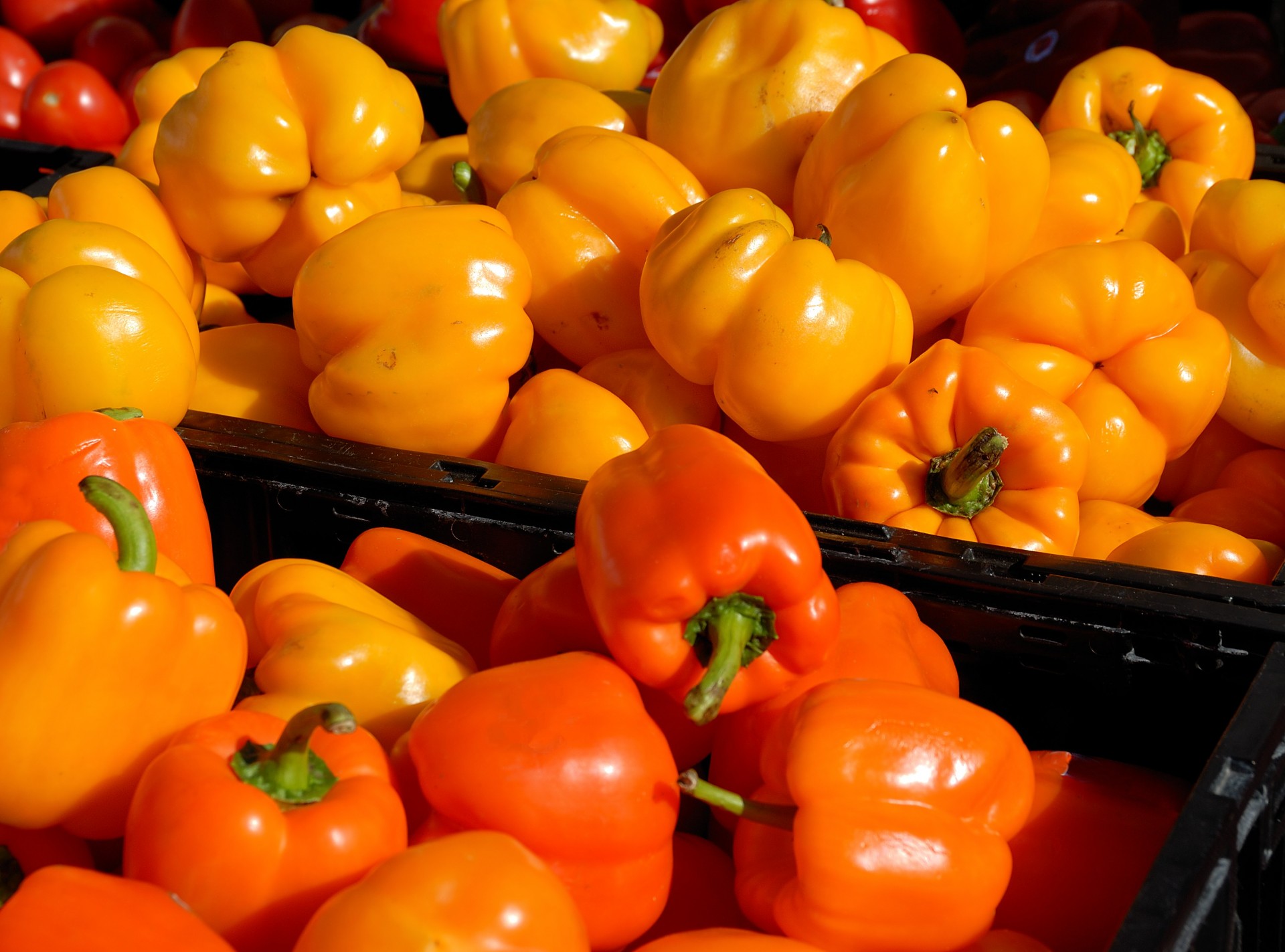 bell peppers peppers colorful free photo