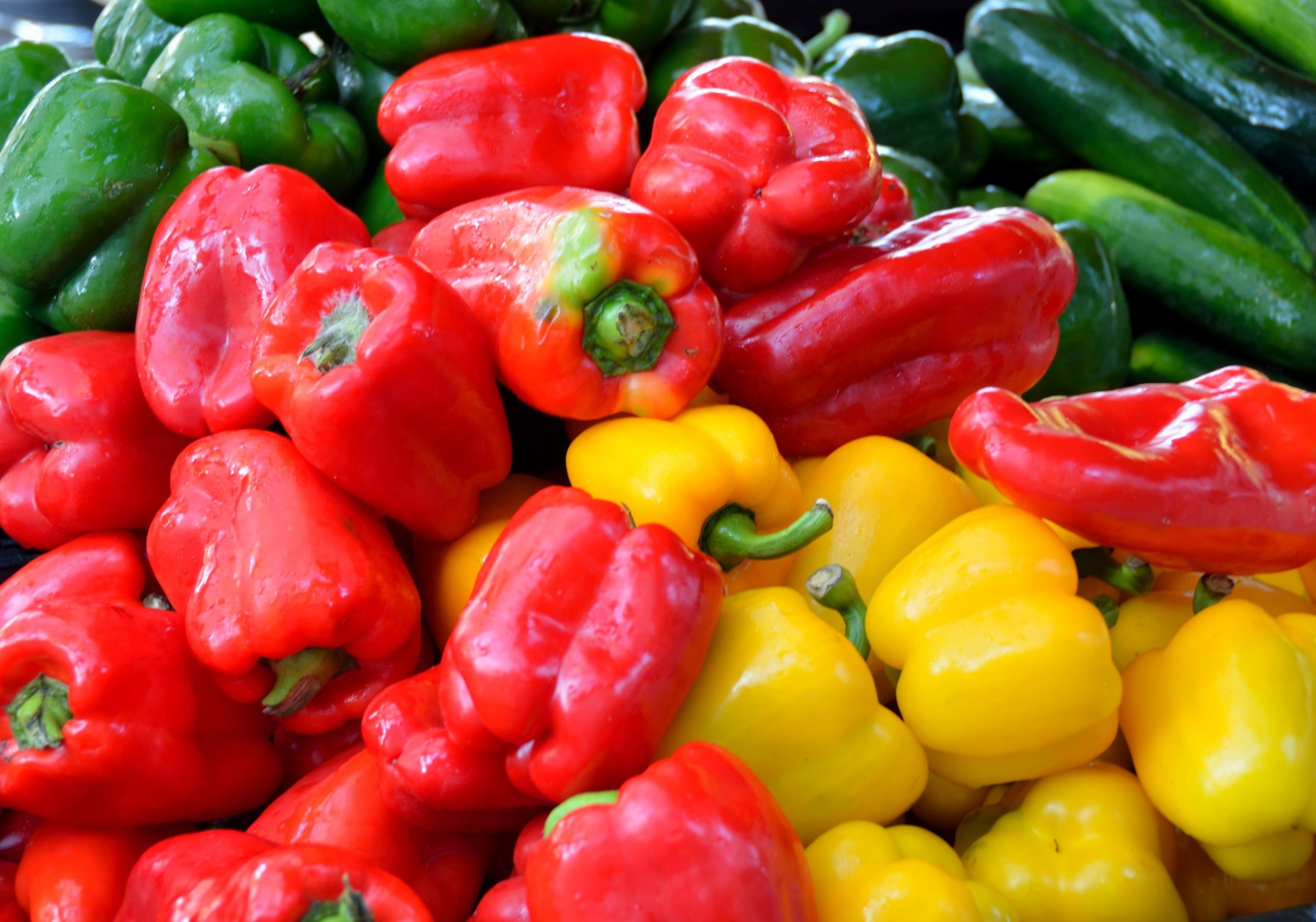 colorful bell peppers peppers free photo