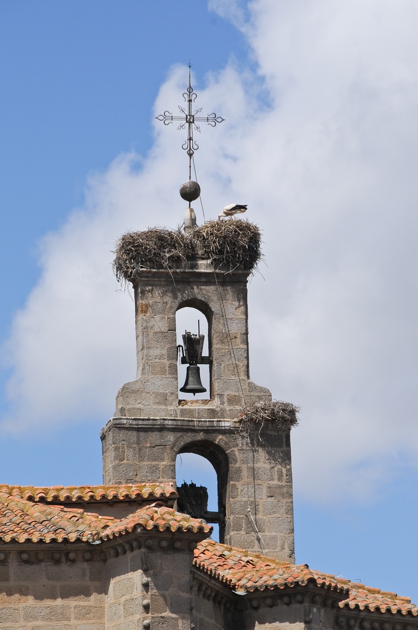 bell tower stork old building free photo
