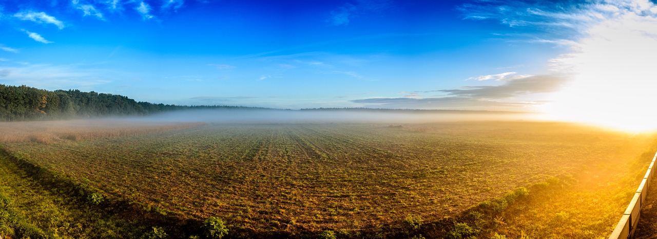 bellheim sunrise panorama free photo