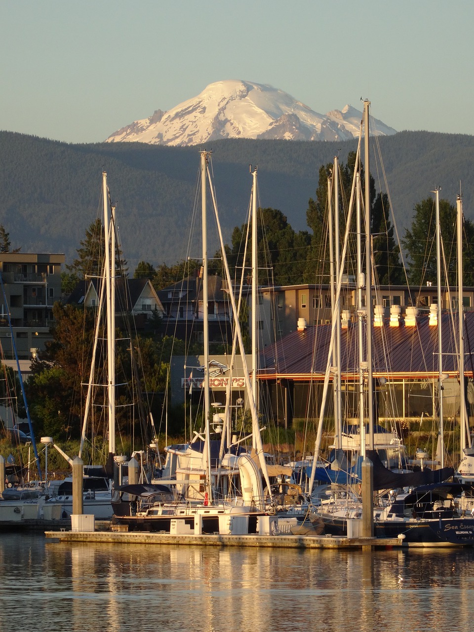 bellingham  mountain  harbor free photo