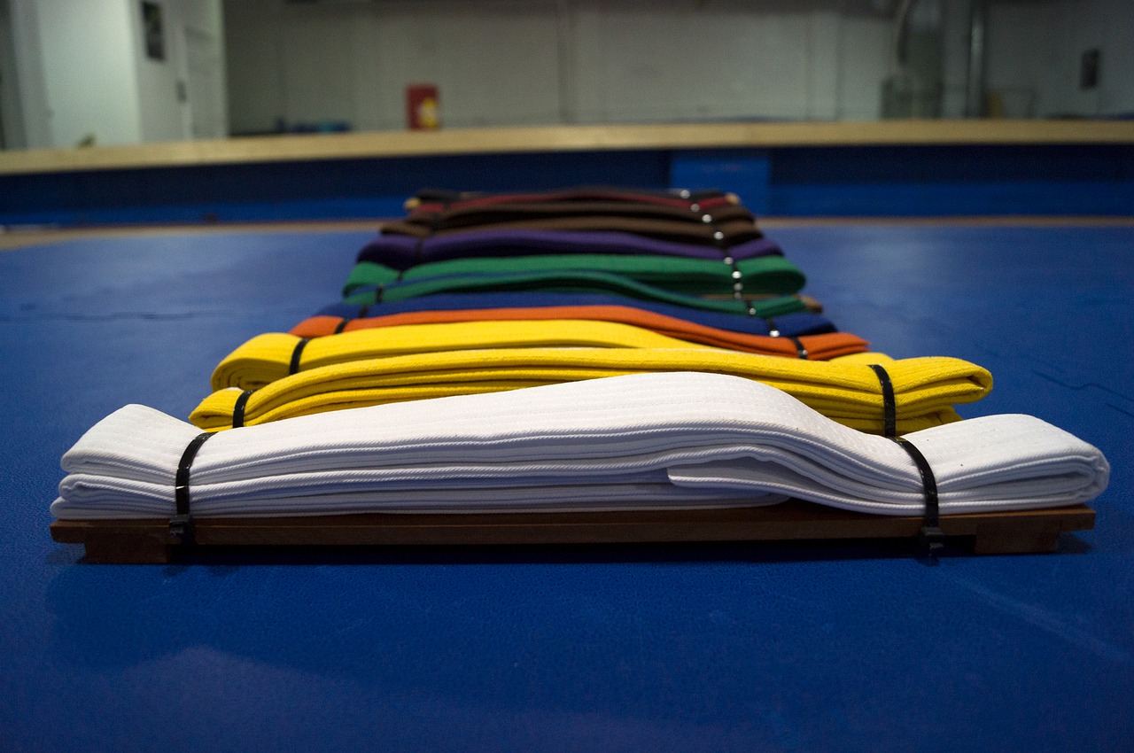 belts colors martial arts free photo