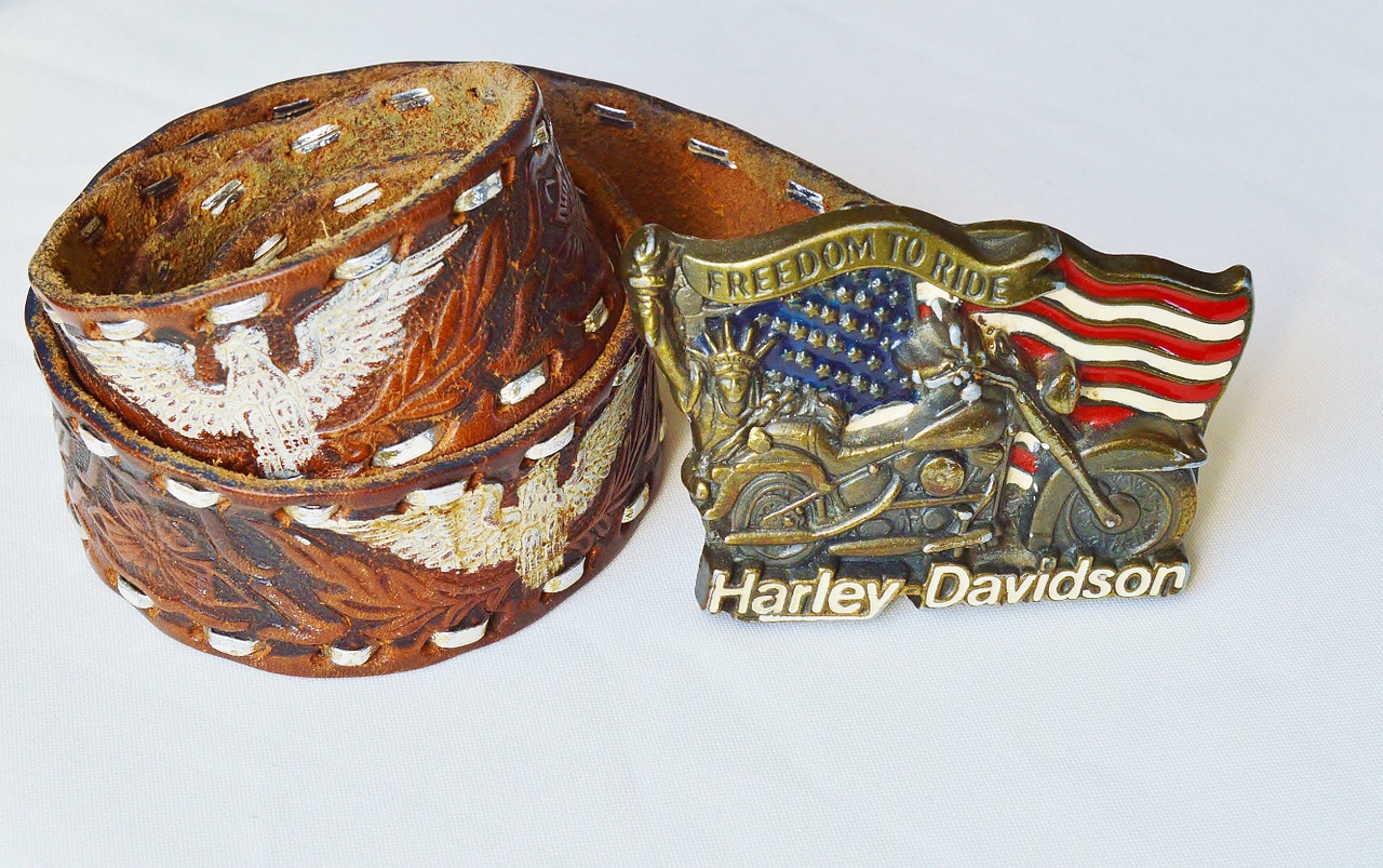 belts harley davidson leather free photo