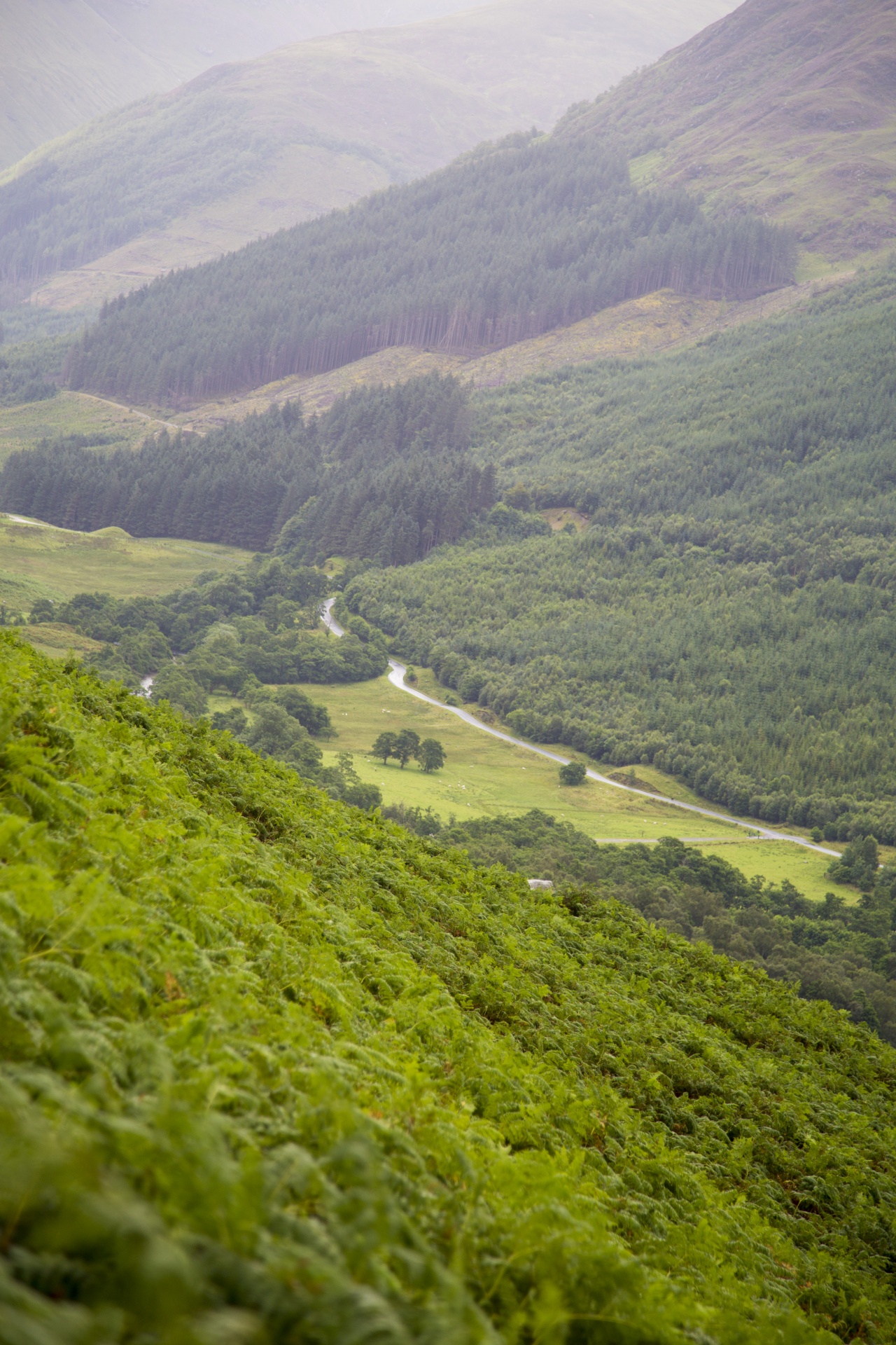 ben scotland fog free photo