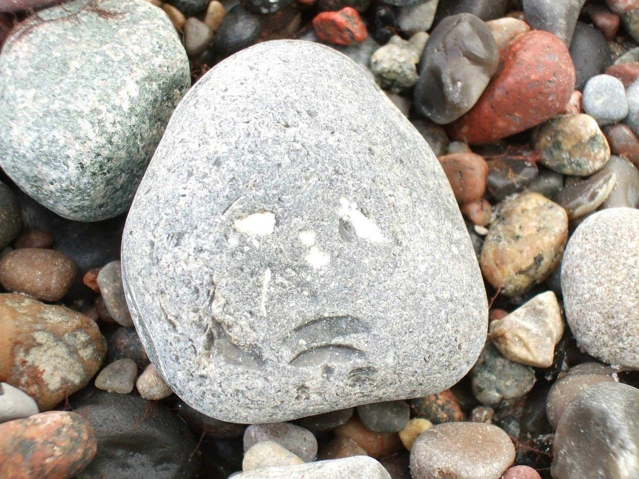 ben stone stone baltic sea free photo
