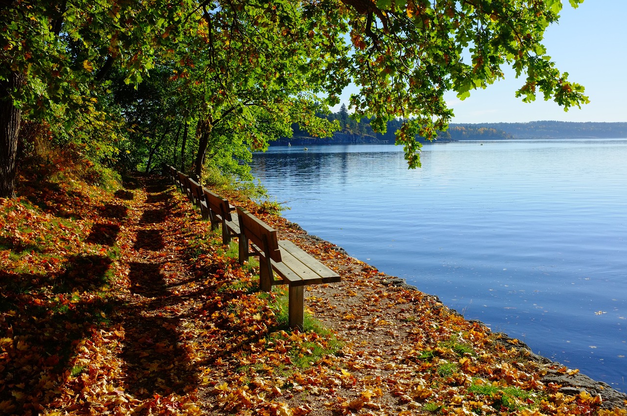 bench waterside shadows free photo