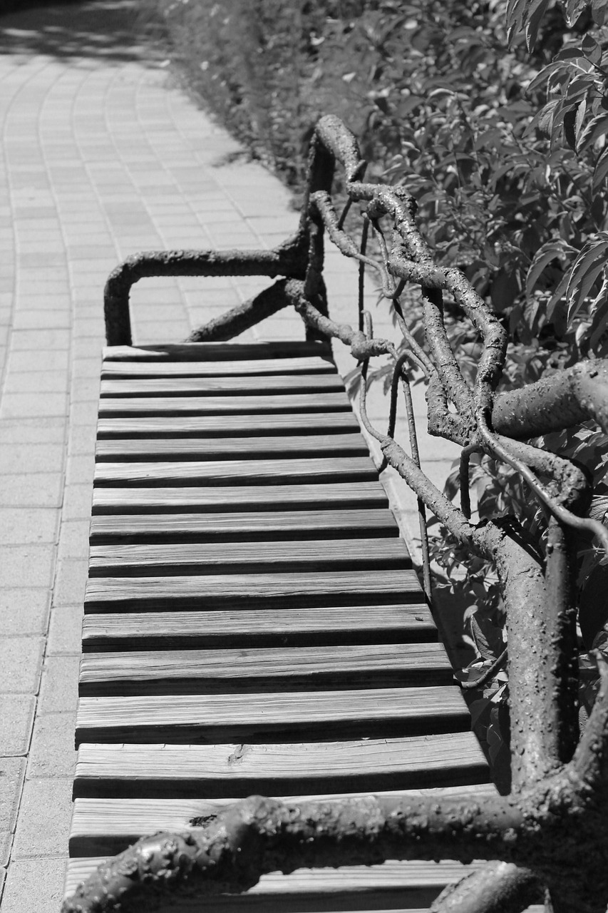 bench outdoor garden free photo