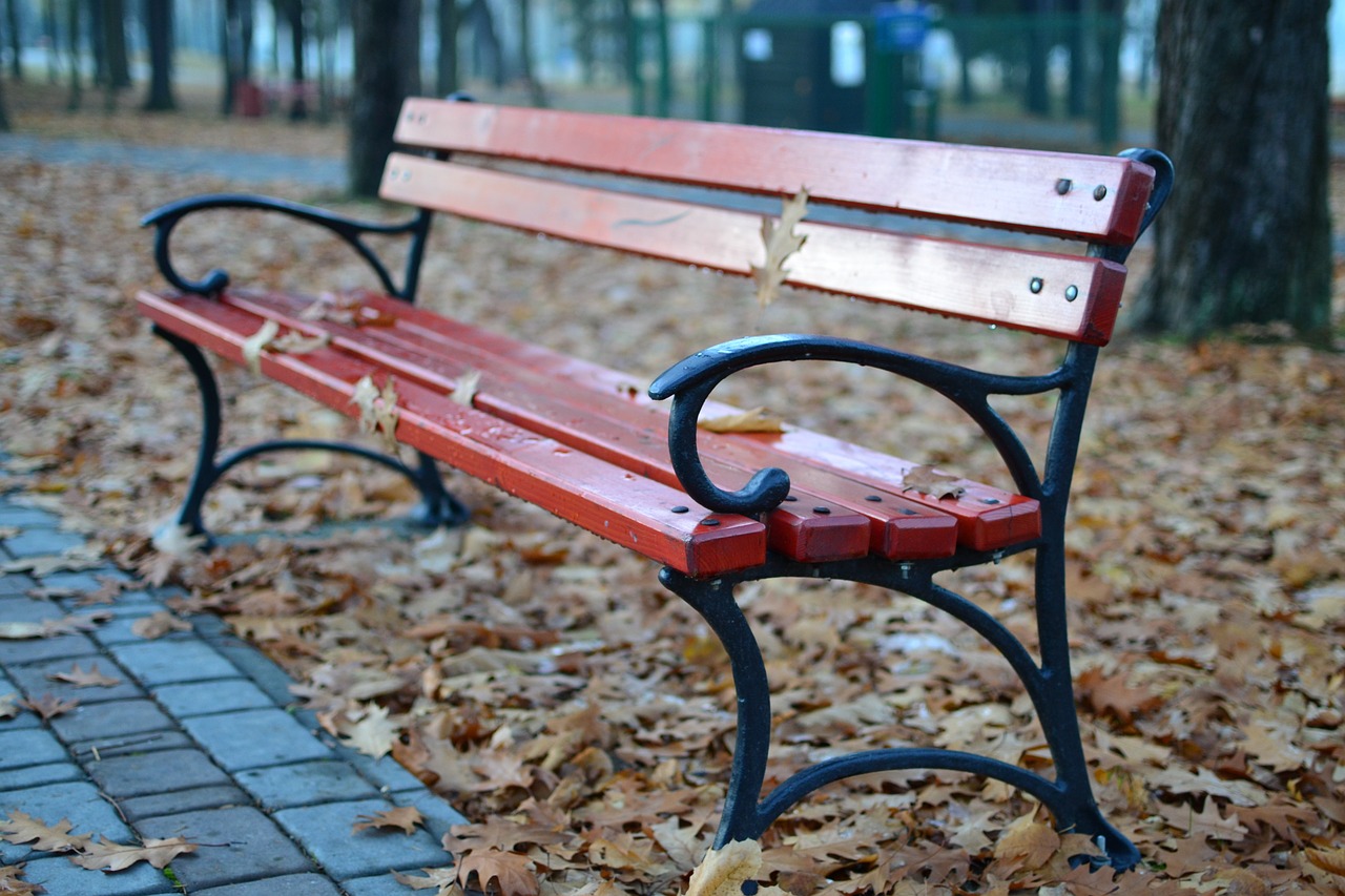 bench park melancholia free photo