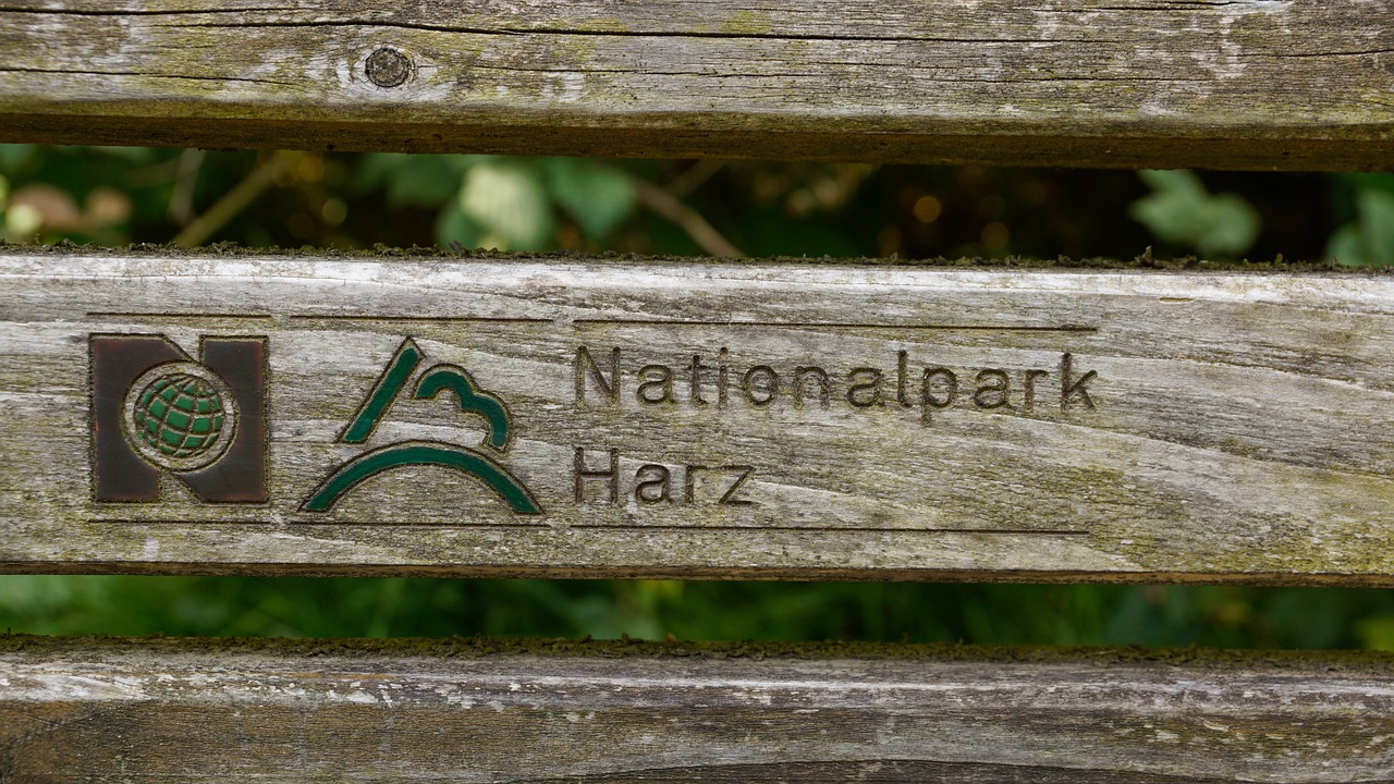 bench harz harz mountains free photo