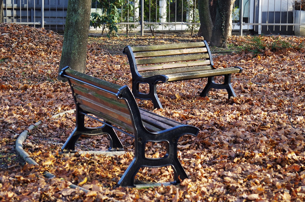 bench park autumn free photo