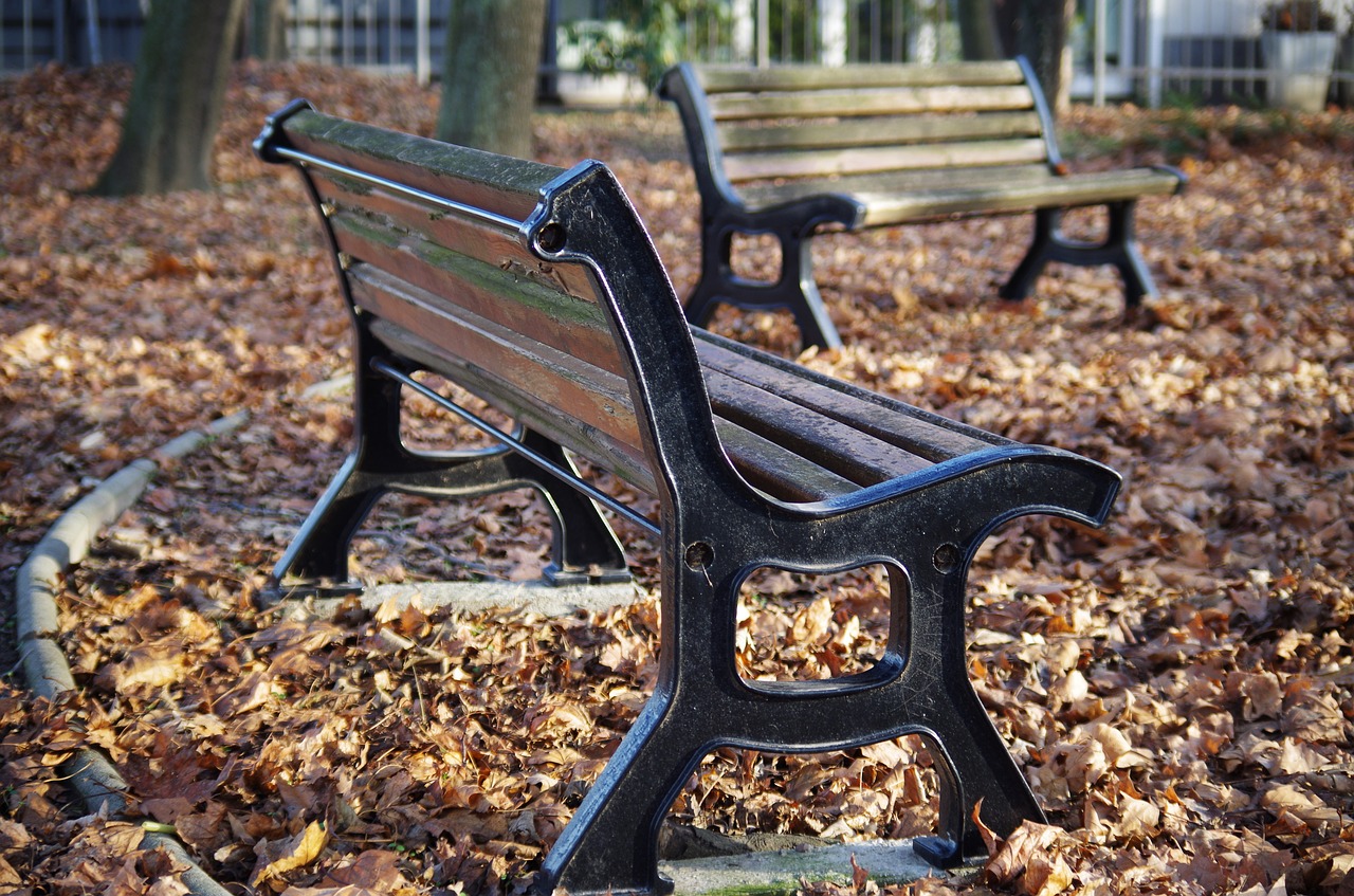 bench park autumn free photo