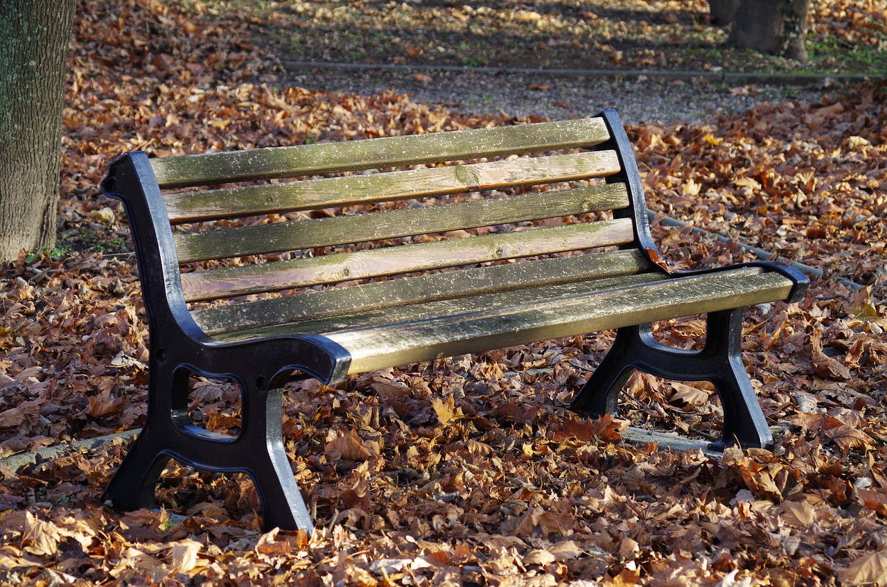 bench park autumn free photo