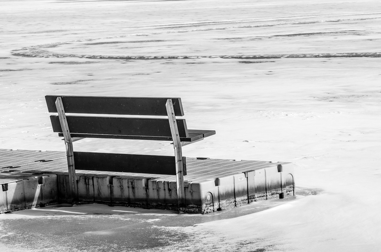 bench lake ice free photo
