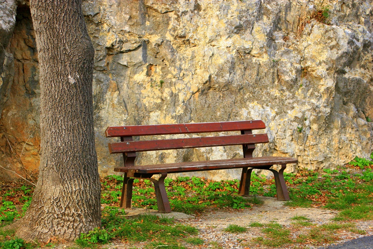 bench thinking relaxation free photo