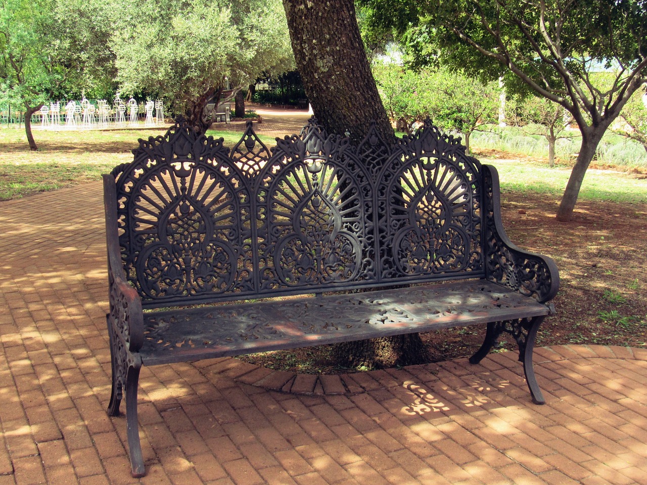 bench tree garden free photo