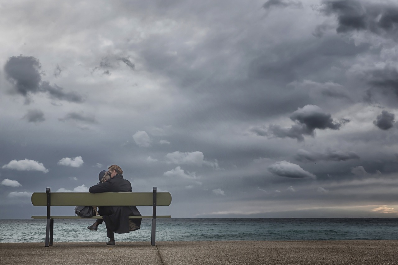 bench sea beach free photo