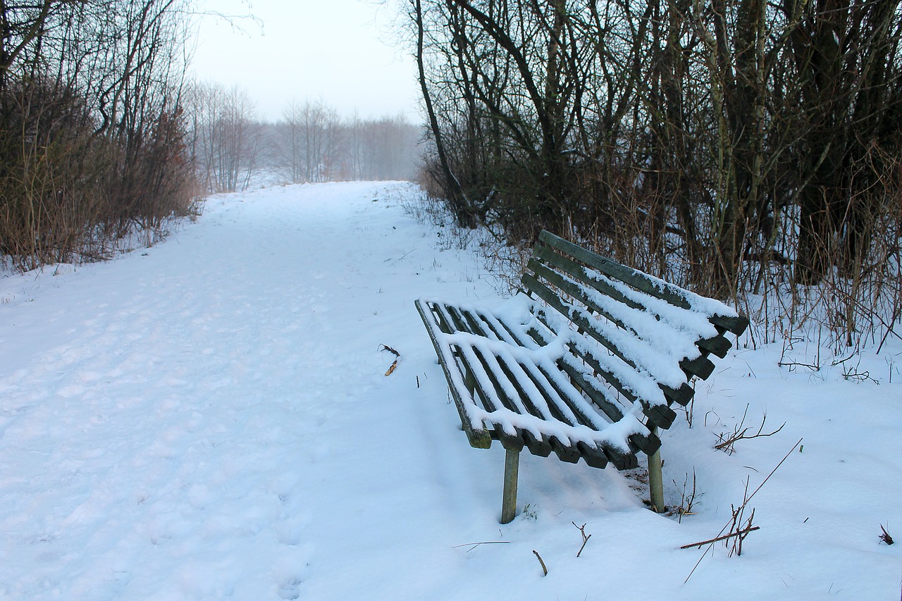 bench snow snowy bench free photo