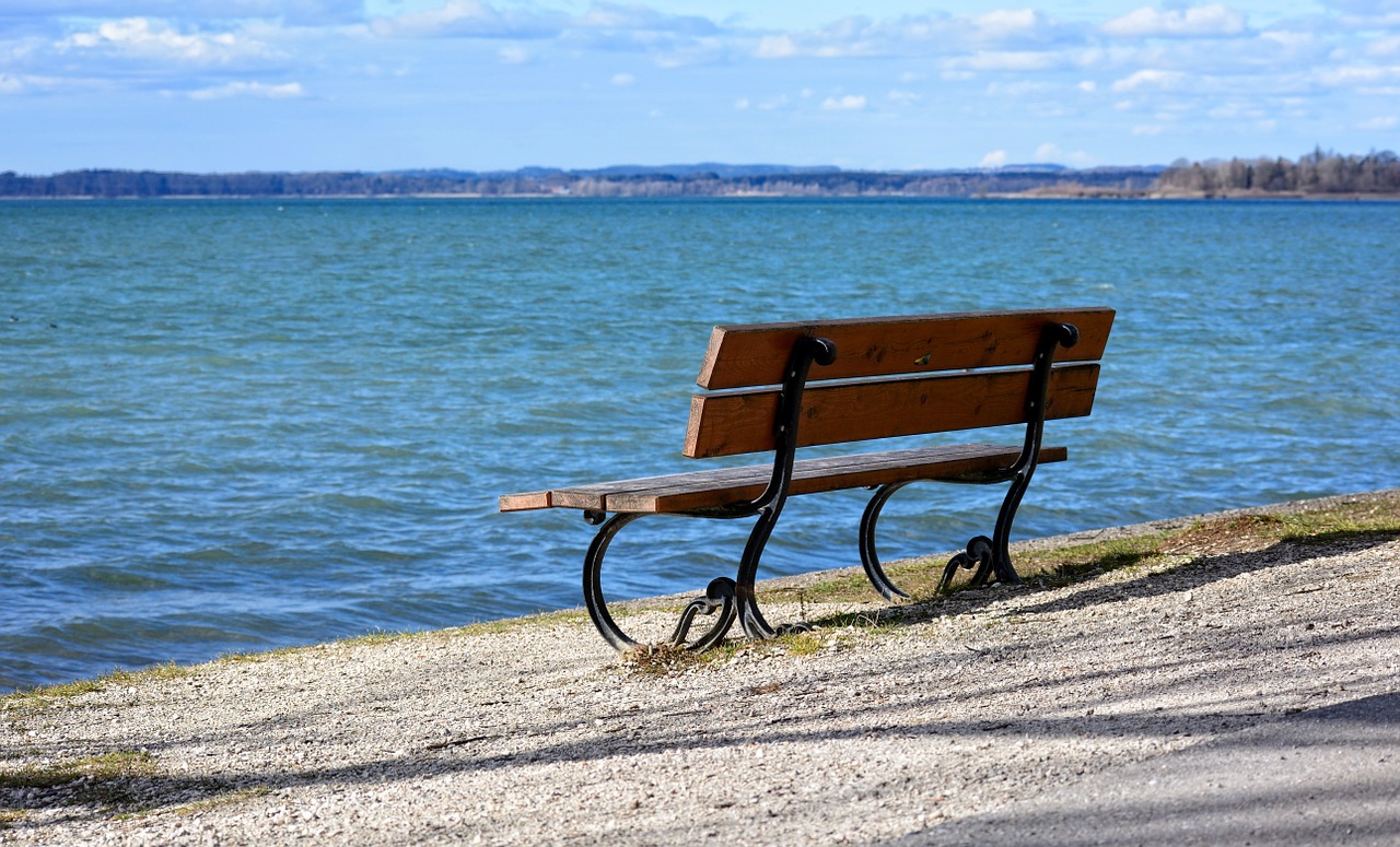 bench bank water free photo