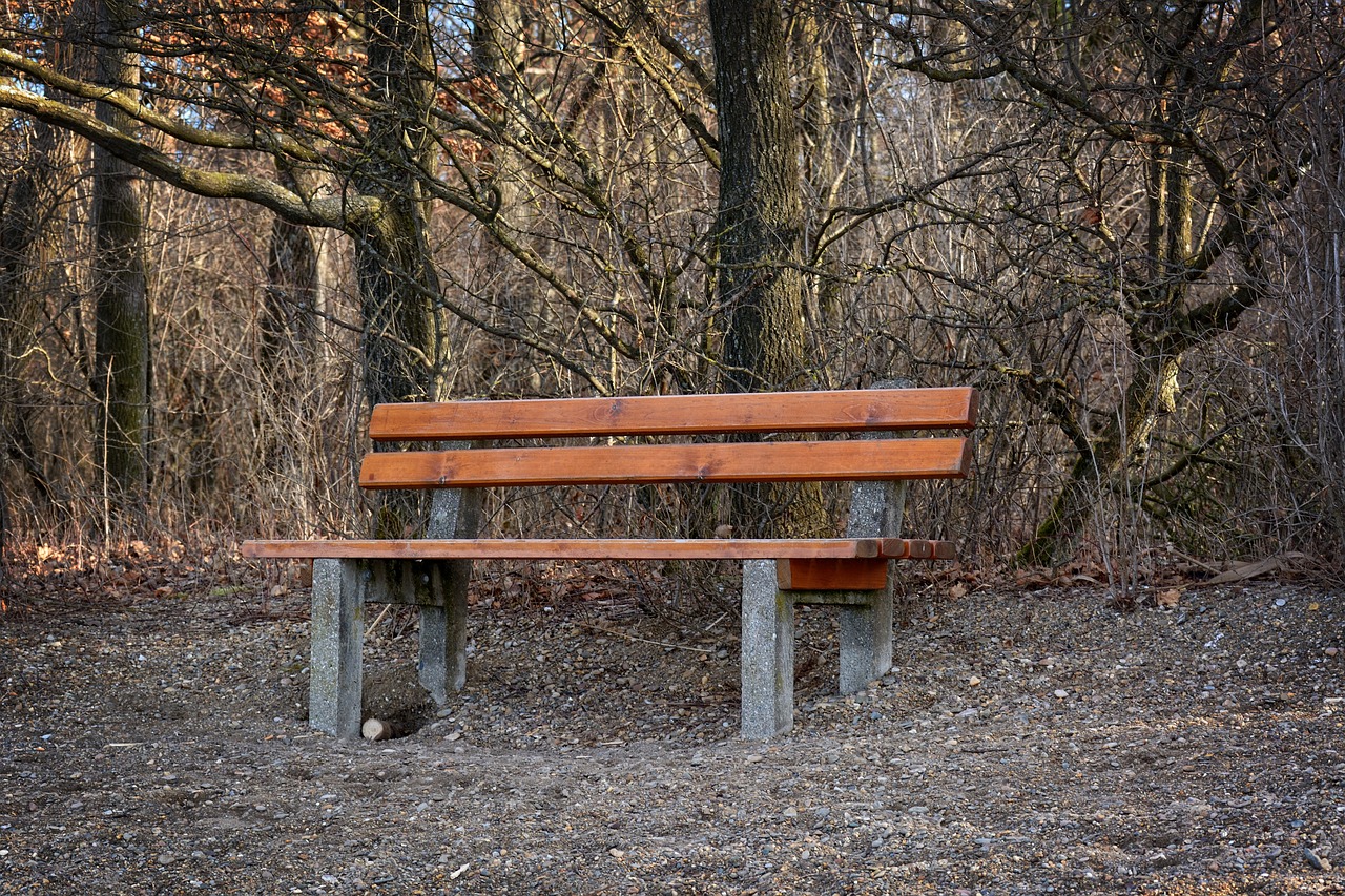 bench bank seat free photo